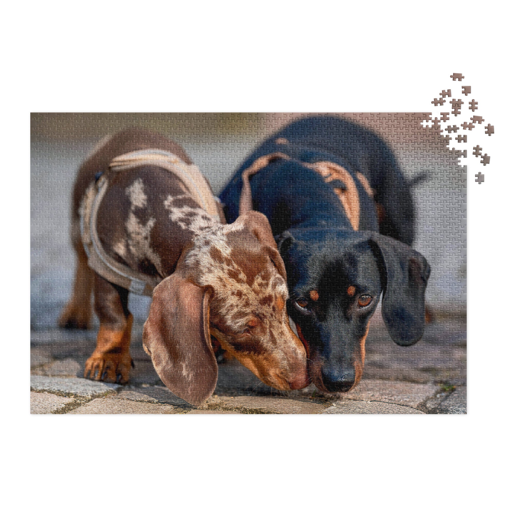 Dachshund Duo Jigsaw Puzzle in Tin featuring two dachshunds, one dapple and one black-and-tan, leaning affectionately on a puzzle image.