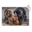 Dachshund Duo Jigsaw Puzzle in Tin featuring two dachshunds, one dapple and one black-and-tan, leaning affectionately on a puzzle image.