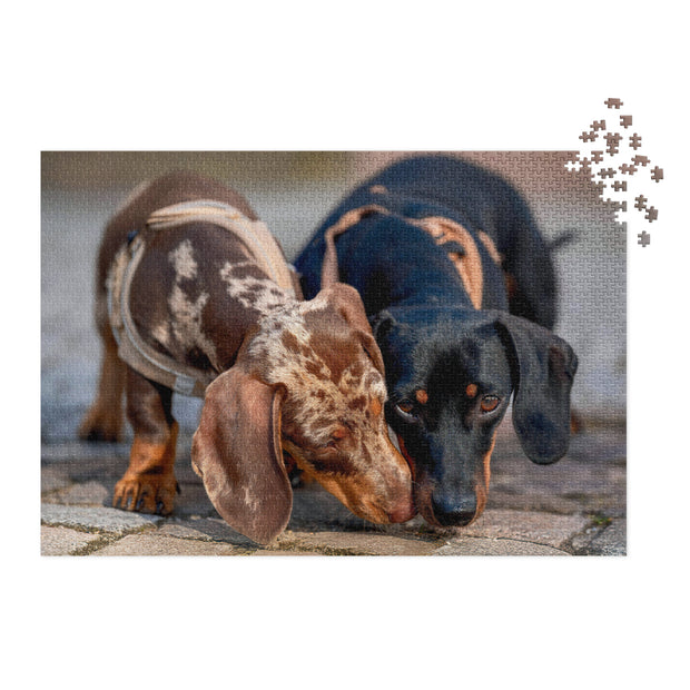 Dachshund Duo Jigsaw Puzzle in Tin featuring two dachshunds, one dapple and one black-and-tan, leaning affectionately on a puzzle image.