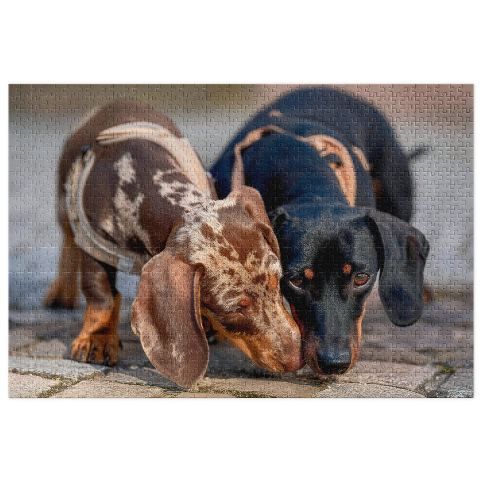 Dachshund Duo Jigsaw Puzzle in Tin featuring dapple and black-and-tan dachshunds leaning together with heartwarming affection.