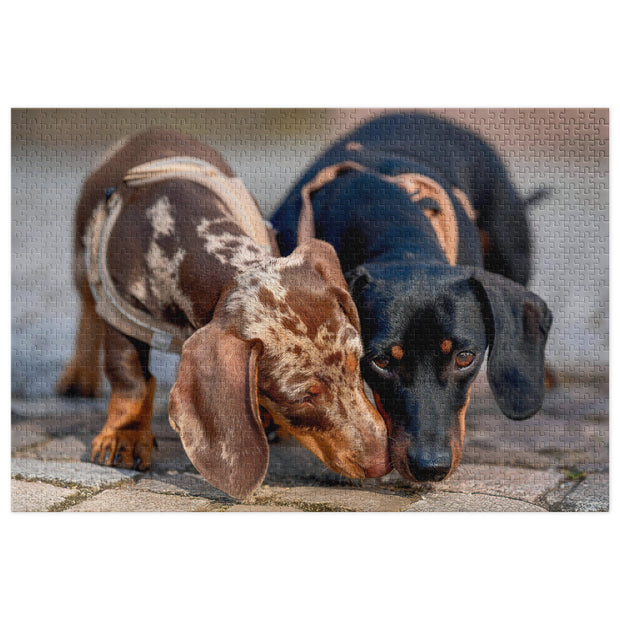 Dachshund Duo Jigsaw Puzzle in Tin featuring dapple and black-and-tan dachshunds leaning together with heartwarming affection.