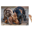 Dachshund Duo Jigsaw Puzzle in Tin featuring two affectionate dachshunds, one dapple and one black-and-tan, in a heartwarming pose.