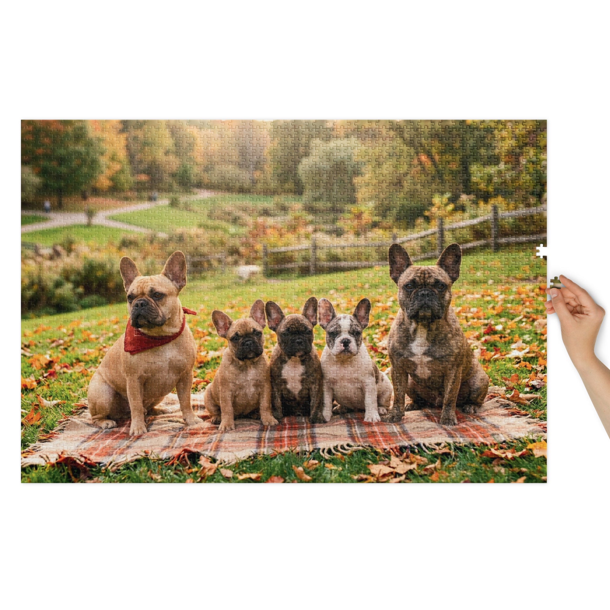 French Bulldog Family Autumn Jigsaw Puzzle in Tin with dogs on blanket in a park setting
