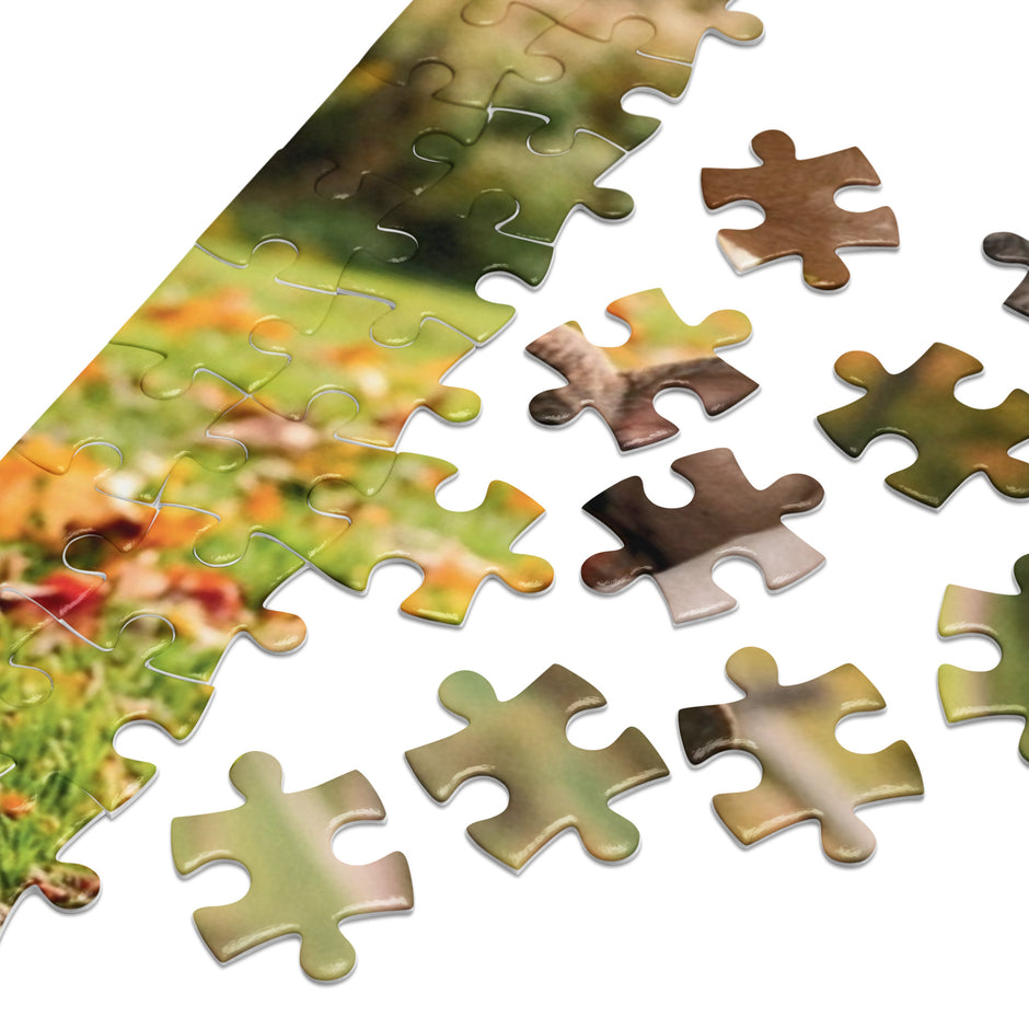 French Bulldog Family Autumn Jigsaw Puzzle in Tin pieces showcasing an autumn park scene with fallen leaves and vibrant colors.