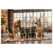 German Shepherd Family Loft Jigsaw Puzzle in Tin featuring dogs in a loft with city skyline