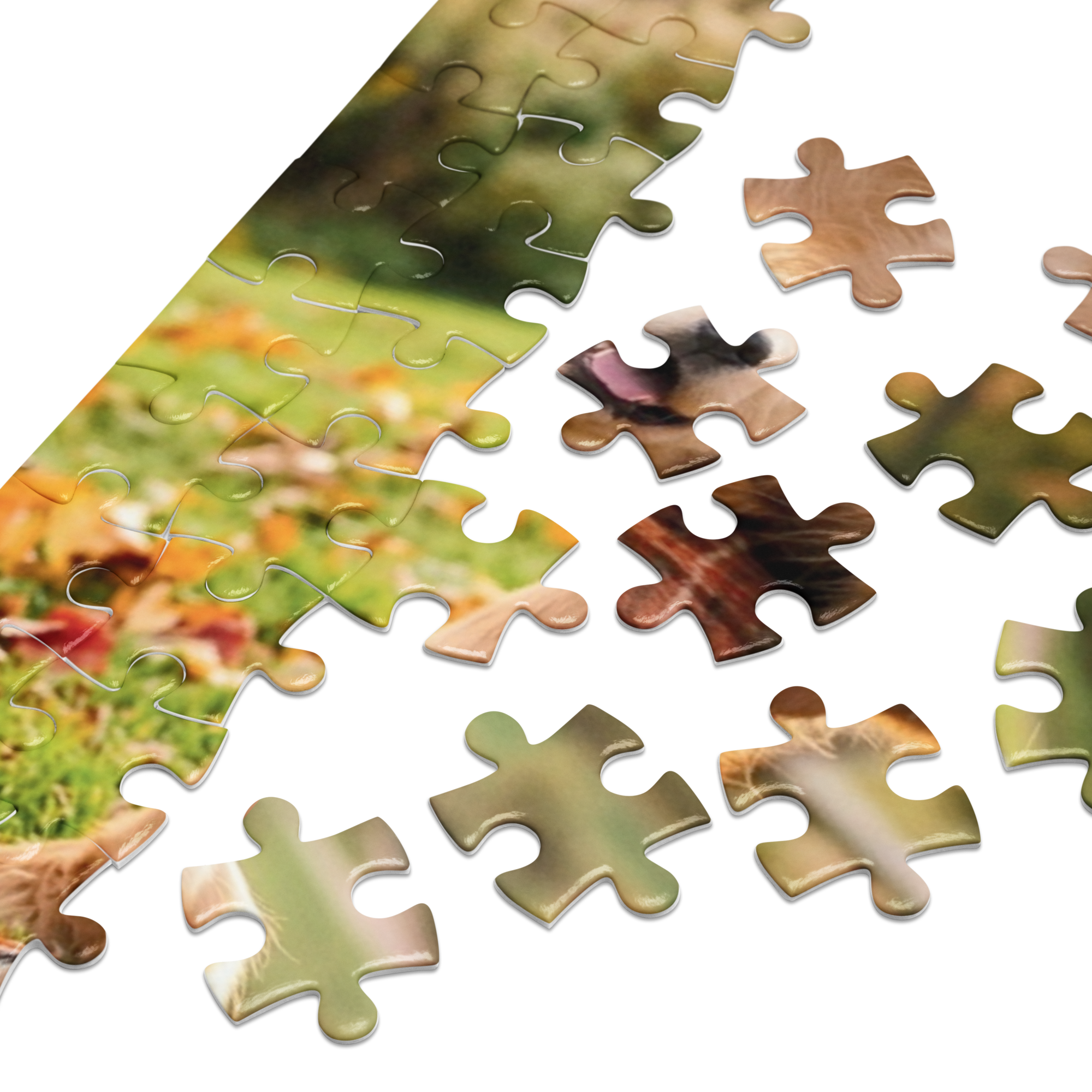 Golden Retriever Family Autumn Jigsaw Puzzle in Tin, featuring colorful fallen leaves and puzzle pieces depicting a warm park scene.
