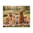 Golden Retriever Family Autumn Jigsaw Puzzle in Tin featuring two adults and three playful puppies on a blanket with autumn leaves.