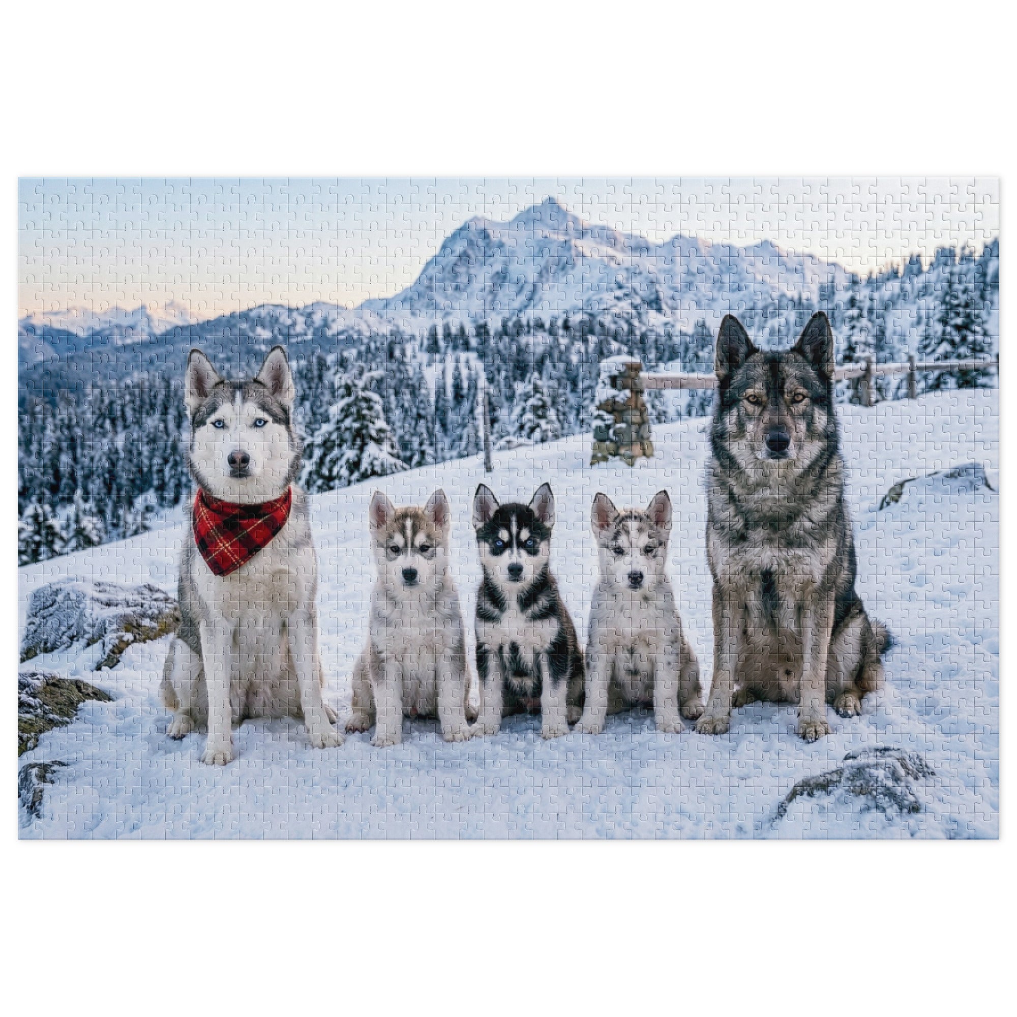 Husky Family Winter Jigsaw Puzzle in Tin with huskies in snow and mountains.