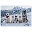 Husky Family Winter Jigsaw Puzzle in Tin with huskies in snow and mountains.