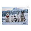 Husky Family Winter Jigsaw Puzzle in Tin featuring a husky family in a snowy mountain scene, perfect for winter puzzle enthusiasts.