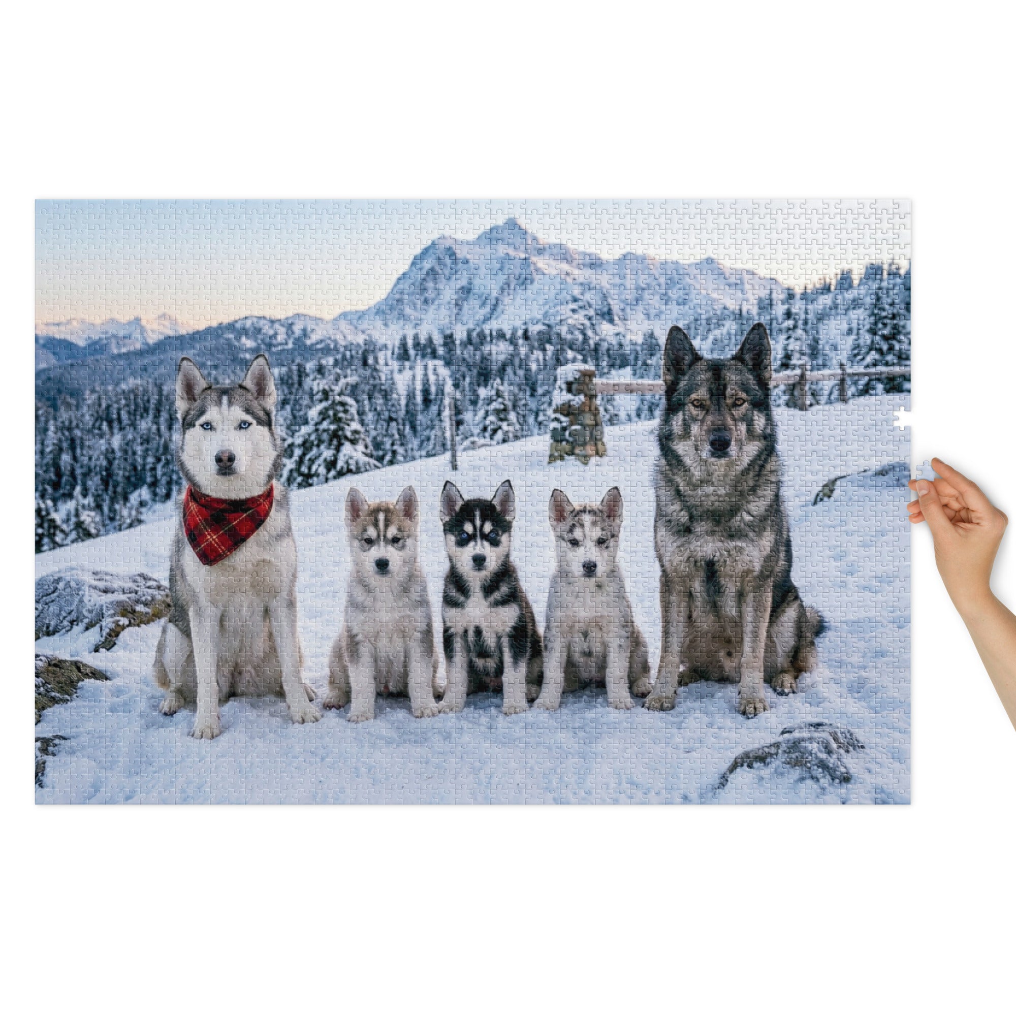 Husky Family Winter Jigsaw Puzzle in Tin showing huskies in snowy mountain landscape with puppies for warmth and charm.