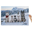 Husky Family Winter Jigsaw Puzzle in Tin showing huskies in snowy mountain landscape with puppies for warmth and charm.