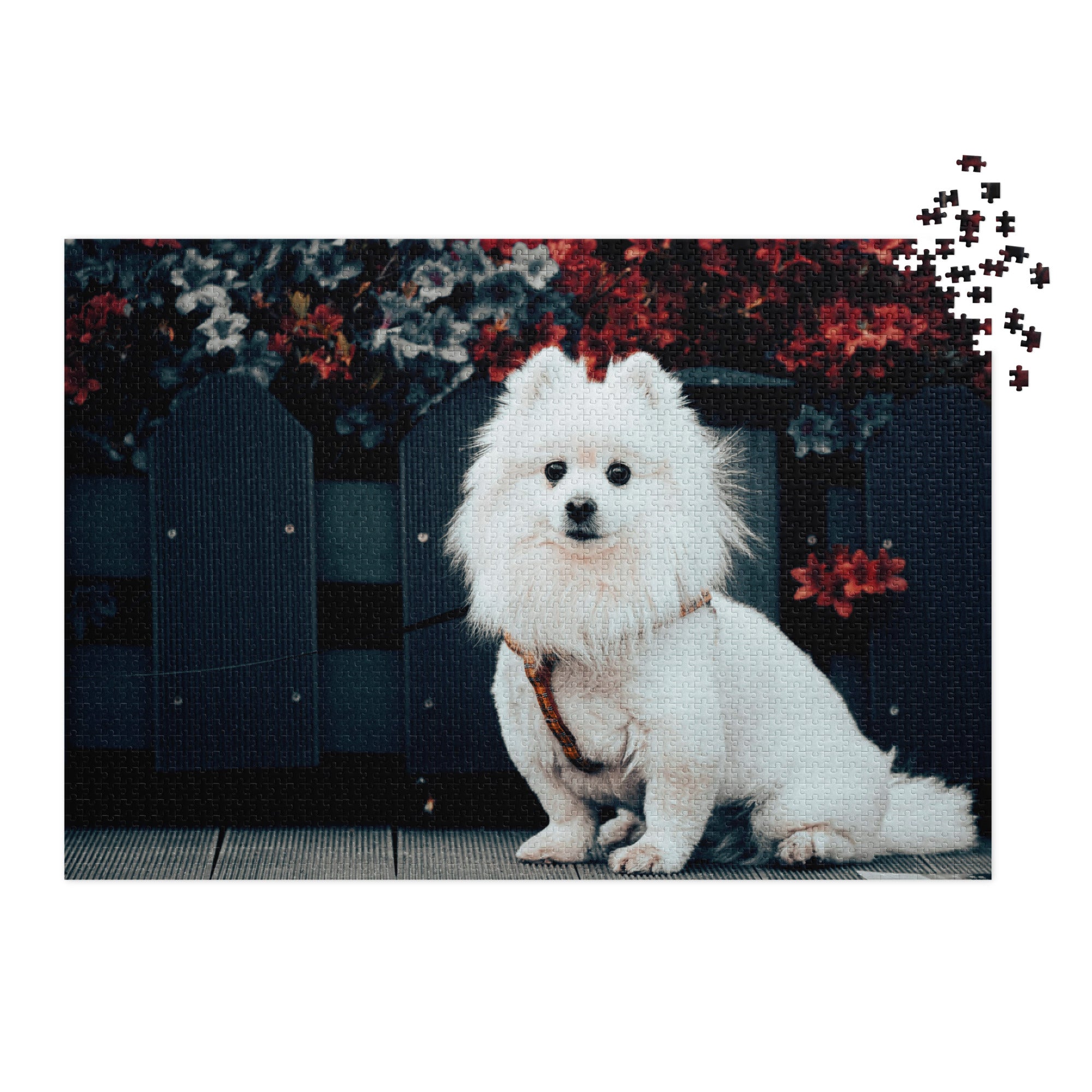 Pomeranian Portrait Jigsaw Puzzle in Tin with white Pomeranian and vibrant flowers background.