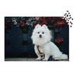 Pomeranian Portrait Jigsaw Puzzle in Tin with white Pomeranian and vibrant flowers background.