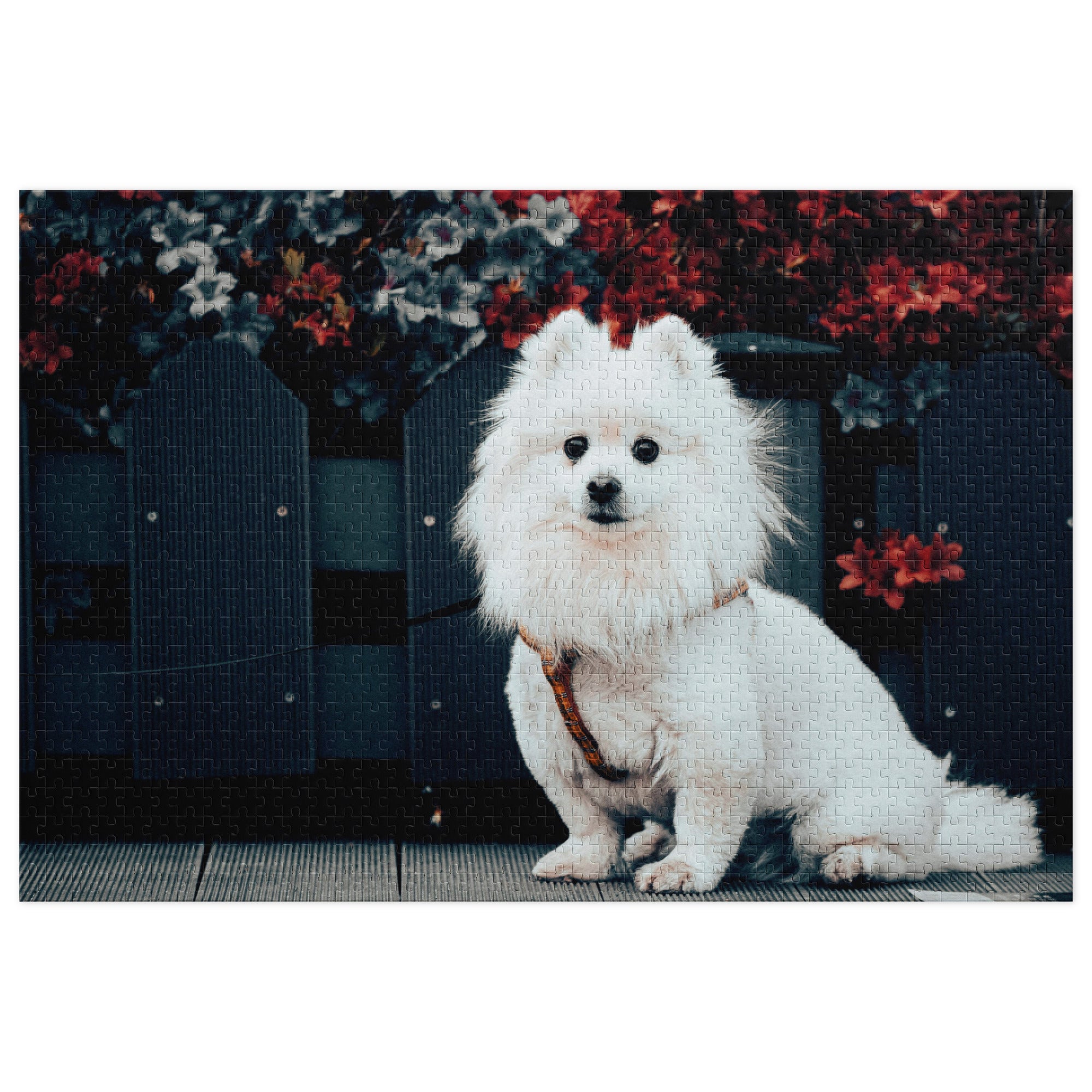 Pomeranian Portrait Jigsaw Puzzle in Tin featuring a white Pomeranian dog with vibrant flowers in the background.