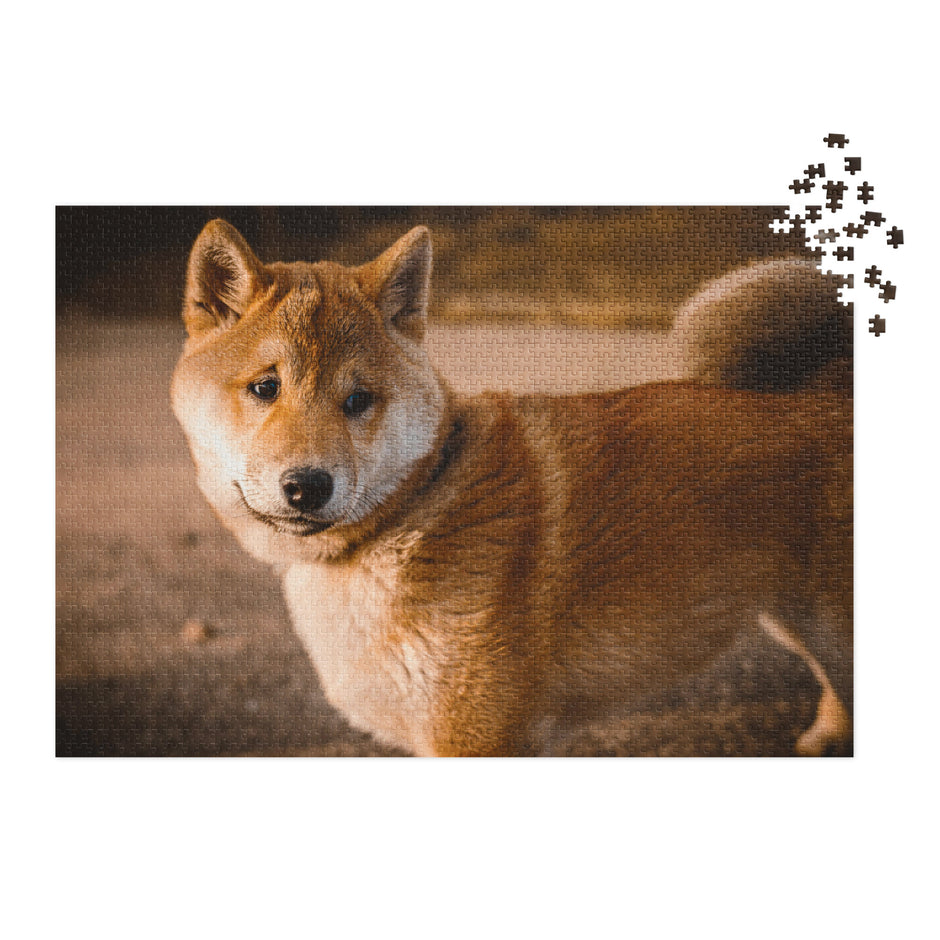 Shiba Inu Portrait Jigsaw Puzzle in Tin with a serene outdoor image of Shiba Inu in evening light in metal tin packaging.