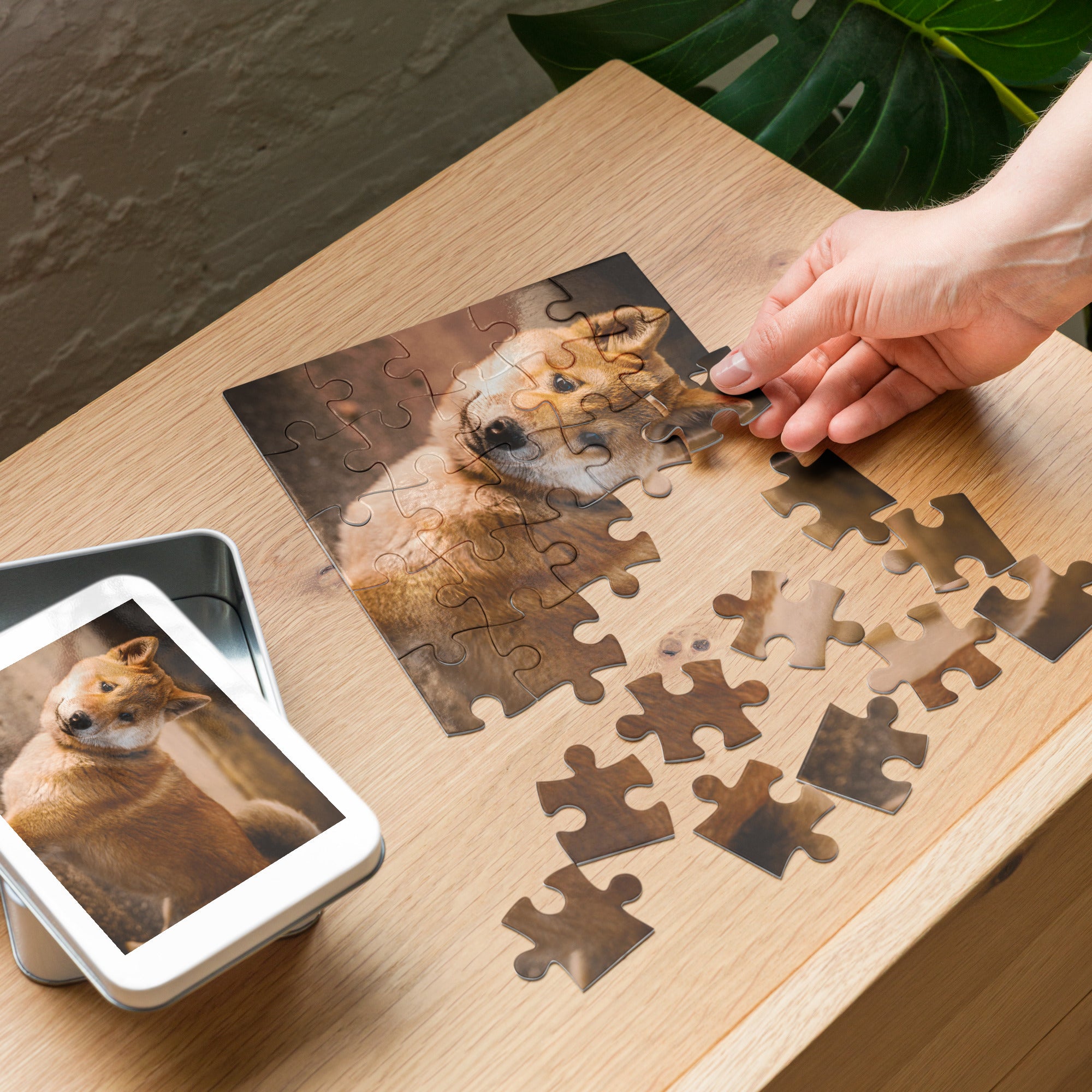 Shiba Inu Portrait Jigsaw Puzzle in Tin with calming outdoor scene, highlighting rich fur tones, on a wooden table.