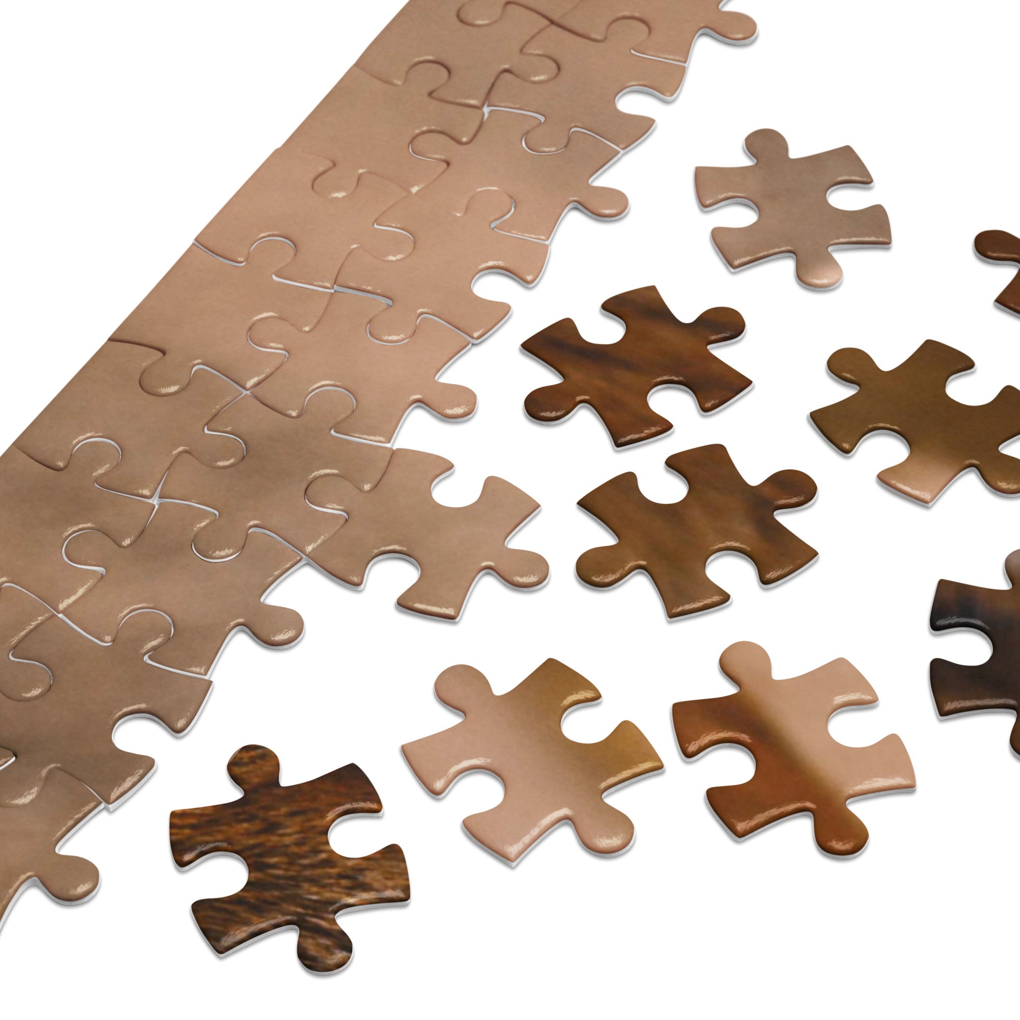 Puzzle pieces of Shiba Inu Portrait Jigsaw Puzzle in Tin with rich fur tones and evening light details.