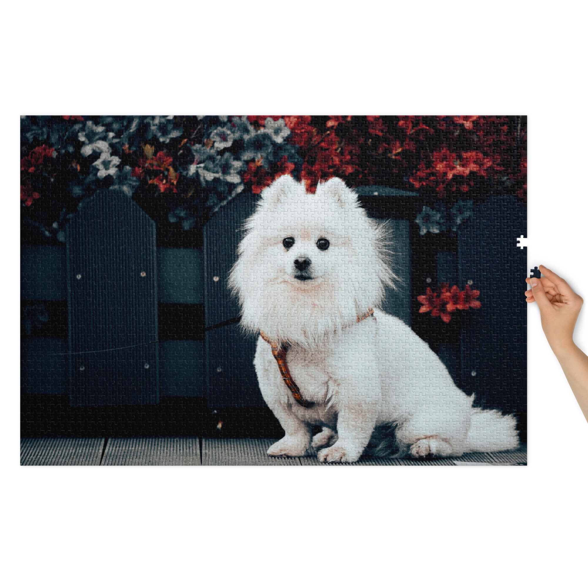Pomeranian Portrait Jigsaw Puzzle in Tin featuring a white Pomeranian against floral backdrop, showcased with tin packaging.