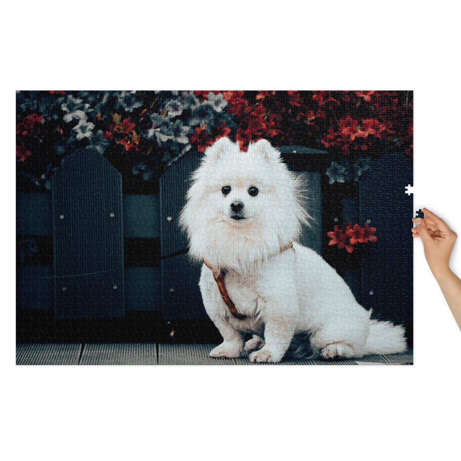 Pomeranian Portrait Jigsaw Puzzle in Tin featuring a white Pomeranian against floral backdrop, showcased with tin packaging.