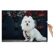 Pomeranian Portrait Jigsaw Puzzle in Tin featuring a white Pomeranian against floral backdrop, showcased with tin packaging.